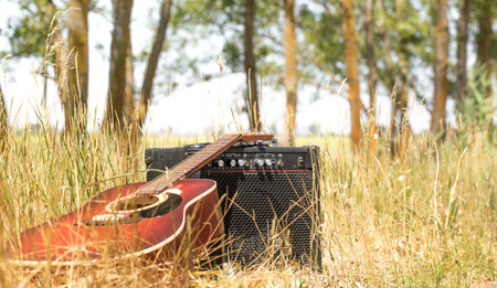 Acoustic guitar nature ,the concept of music and nature
