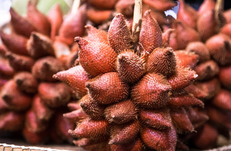 fruit traditional counter market in Thailand,the concept of exotic fruitsの写真素材