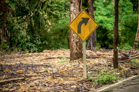 road sign turn in the rain forestの写真素材