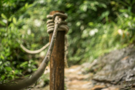 the path in the tropical forest with the cable track, travel conceptの写真素材