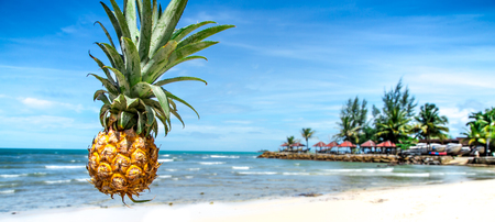 Beautiful juicy pineapple on a background of exotic beach close-upの写真素材