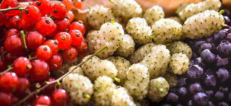 fresh mulberry with blueberries macro shot concept of healthy food and vitaminsの写真素材