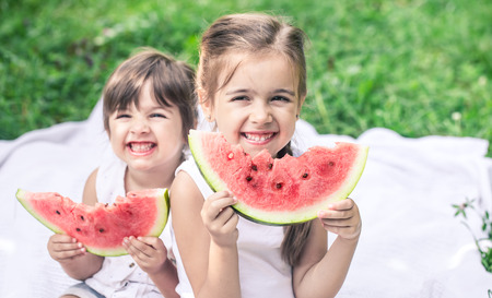 two little cute baby girls sisters eating watermelon in nature, playing and having fun, baby food concept and family time spendingの写真素材