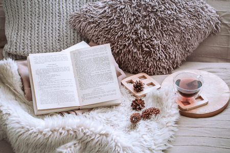 Home comfort, living room with sofa and interior details, homely atmosphere and comfort conceptの写真素材