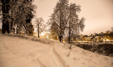 footpath in the snowy night forest in the countryside, the concept of beautiful winterの写真素材