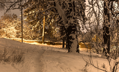 footpath in the snowy night forest in the countryside, the concept of beautiful winterの写真素材
