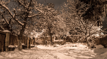 Snow beautiful winter night on the countryside. Street view with snow on trees, houses, road and lantern.の写真素材