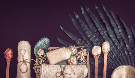 Spa composition on a dark background in a wooden box with a tropical leaf, Spa and body care conceptの写真素材