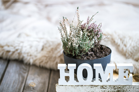Cozy home composition on wooden background, home decor conceptの写真素材