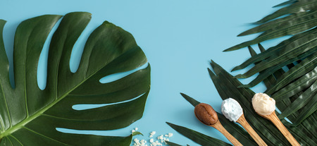 Still life of spa items on a colored background with tropical leaves, concept of body care and spa treatmentsの写真素材