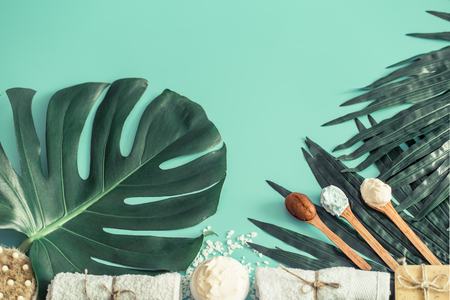 Still life of spa items on a colored background with tropical leaves, concept of body care and spa treatmentsの写真素材