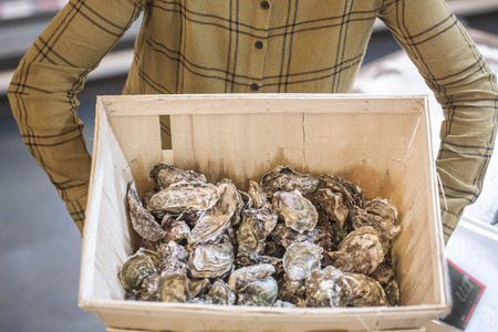 Woman in the supermarket with oysters. Beautiful young woman is holding a large box of oysters. The concept of healthy eating. Seafoodの写真素材