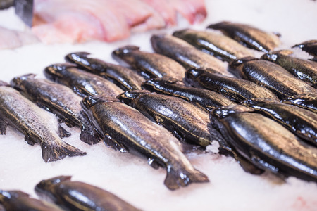 Close-up shot of an fish displayed in a supermarket in the ice. Fresh fish. The concept of healthy eating. Seafoodの写真素材