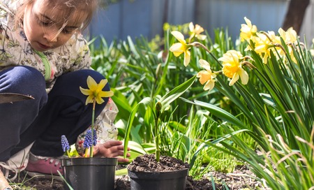 Little girl planting flowers in the garden, Earth Day. Kid helping at the farm.の写真素材