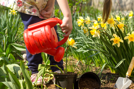 Little girl planting flowers in the garden, Earth Day. Kid helping at the farm.の写真素材