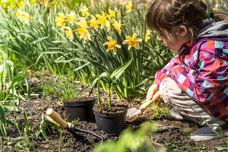 Little girl planting flowers in the garden, Earth Day. Kid helping at the farm.の写真素材
