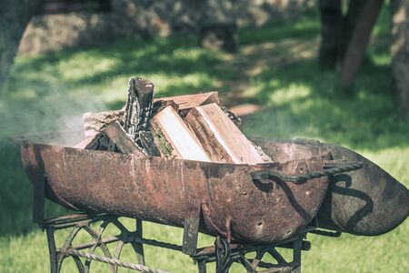 Fire, flames from wood ember for grill or bbq picnic, fume and firewood outdoor on the green fieldの写真素材