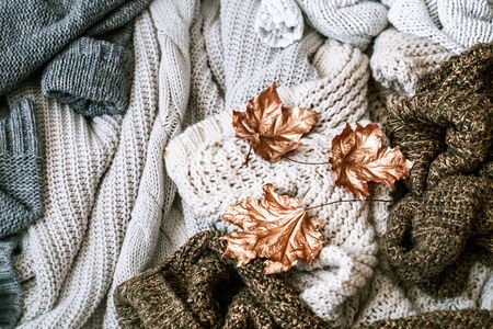 Cozy autumn morning breakfast in bed still life scene. Steaming cup of hot coffee, tea standing near window. Fall, Thanksgiving concept. White pumpkins, pine cones and oak leaves on wool plaid.の写真素材