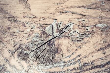 Brown wood contrast texture . Abstract background, empty templateの写真素材
