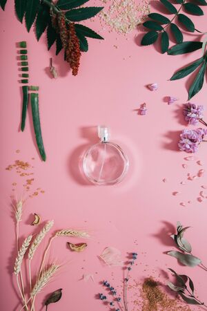 Transparent perfume bottle in flowers on pink background. Spring background with aroma parfume. Beauty cosmetic, fresh aromatic. Flat layの写真素材