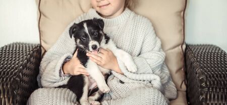 A little girl holding a puppy in her hands . The concept of Pets .の写真素材