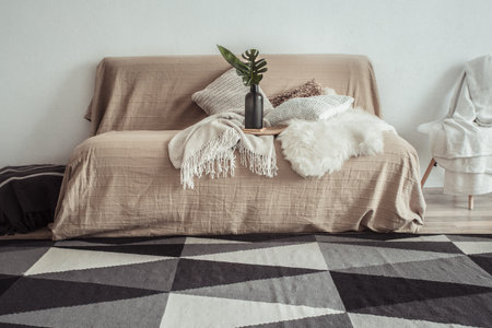 Modern interior of the living room with a sofa and decorative items . Decorative pillows and...