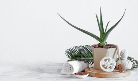 Spa composition with body care items on a light background . A place for text, a concept of beauty and body care .の写真素材