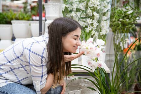 Beautiful young woman in a flower shop and choosing flowers. The concept of gardening and flowers .の写真素材