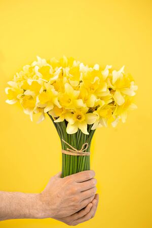 Yellow background and male hands with a bouquet of yellow daffodils. The concept of greetings and women's day.の写真素材