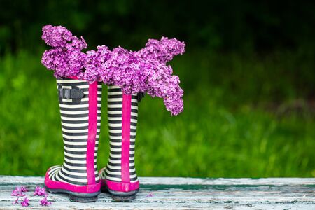 Rubber boots with a bouquet of Lilac flowers . creative concept.の写真素材