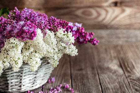 Spring composition with lilac flowers in a wicker basket. Mothers and womens day. Space for text....