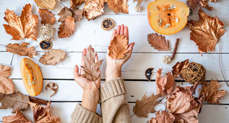 Autumn composition with dry leaves and women's hands on a white background. The concept of autumn.の写真素材