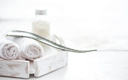Spa composition with body care products and aloe vera leaf on light blurred background.の写真素材