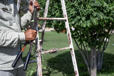 Gardener in the garden with a temporary hut and large shears for pruning bushes.の写真素材
