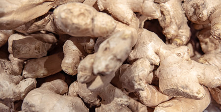 Close up of ginger roots on the counter of the store.の写真素材