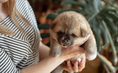 The girl is holding a small fluffy newborn puppy in her arms.