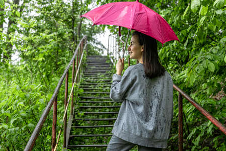 Girl under an umbrella on a walk in the spring forest in the rain.の写真素材