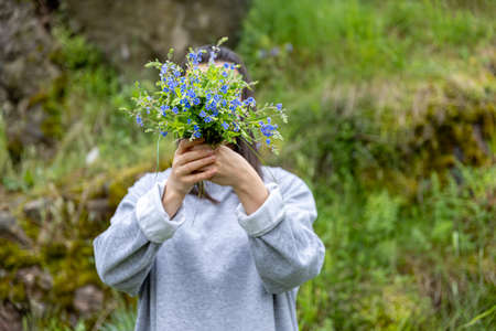 The girl hides her face behind a bouquet of fresh flowers collected in the forest.の写真素材