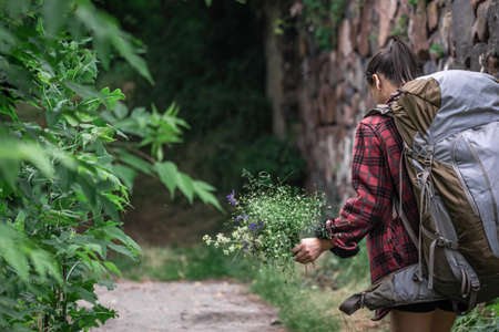 Attractive girl tourist with a large backpack for travel and with a bouquet of wildflowers.の写真素材