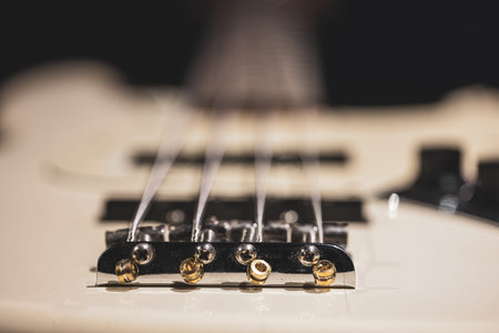 Guitar bass string details, close up of the iron strings on blurred background.