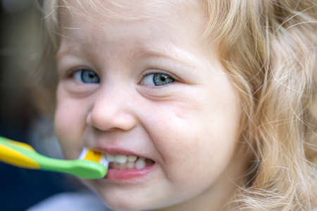Portrait of a little girl with a toothbrush, the child brushes his teeth.の写真素材