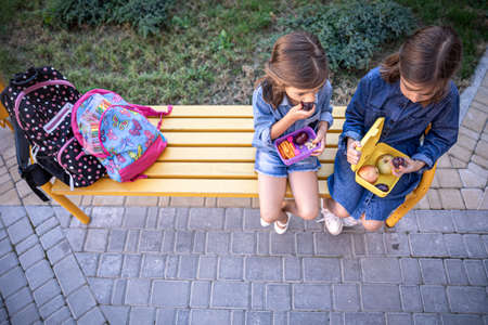Elementary students sit on a bench near the school and eat fruit for lunch top view. Back to school.の写真素材