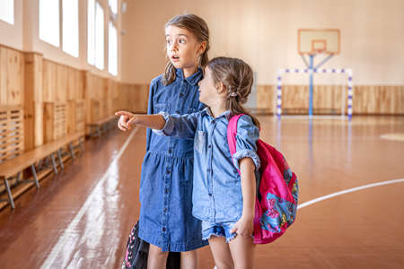 schoolgirls Little girls, elementary schoolgirls, with backpacks after school in the  school gym.の素材 [FY310174086582] | ストックフォトの Qlean Market（キュリンマーケット）