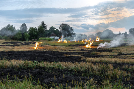 On a hot summer day, dry grass is burning on the field. Burning field with dry grass.の写真素材