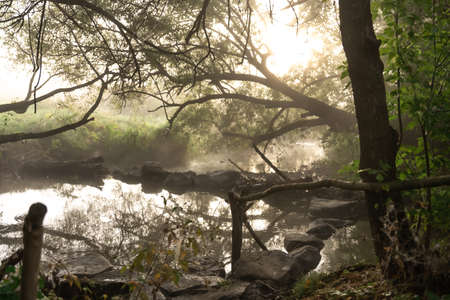 River with rapids in the fog in the forest in an early autumn morning.の写真素材