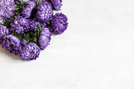Close-up of a bouquet of fresh blue chrysanthemums on a white background, copy space.の写真素材