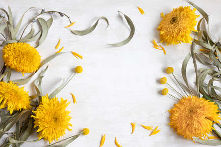 Festive white flat lay background with sunflowers and craspedia flowers, copy space.の写真素材