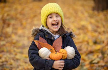 Little funny girl with pumpkins in the autumn forest on a blurred background.の写真素材