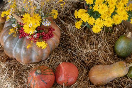 Autumn composition with pumpkins in a rustic style.の写真素材