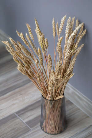 Spikelets of wheat in a glass vase, an element of interior decor.の写真素材